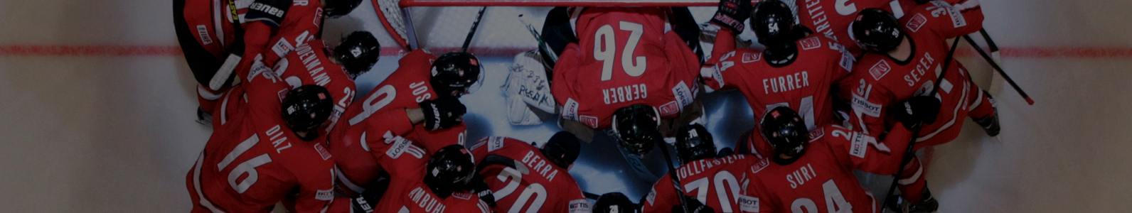 2013 IIHF World Championship_Sweden_Stockholm_2013_Original_40286_DARKENED_BLOG_CROP