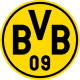 logo-bvb 7
