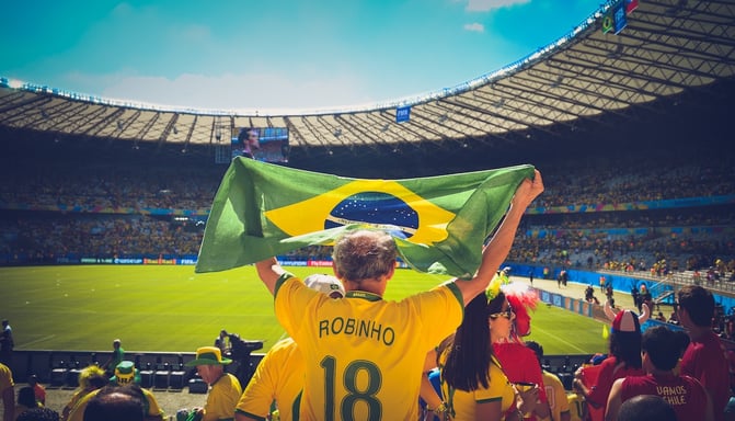 World Cup Brazil Fan